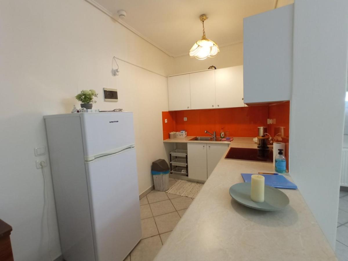 Apartament Flat With Garden Near Sea, Port And Airport Artemida  Zewnętrze zdjęcie