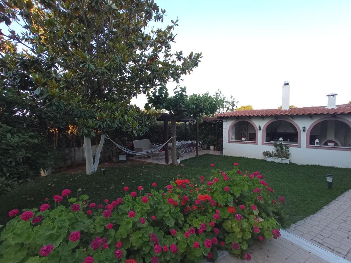 Apartament Flat With Garden Near Sea, Port And Airport Artemida  Zewnętrze zdjęcie