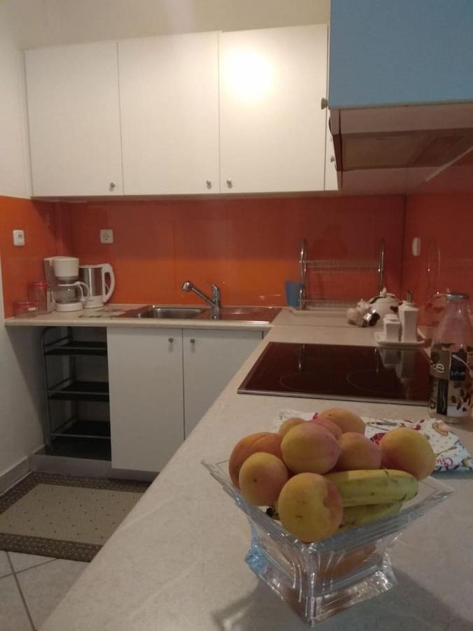 Apartament Flat With Garden Near Sea, Port And Airport Artemida  Zewnętrze zdjęcie